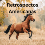 Retrospectos Americanas